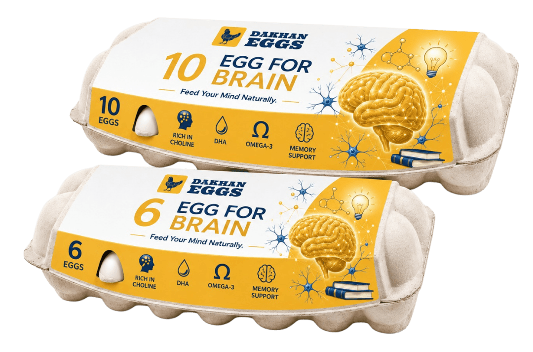 Egg for Brain