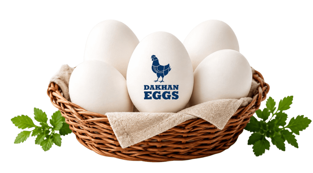 Dakhan Eggs Official Packaging Box